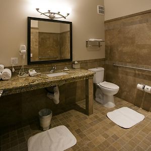 King Room Roll Shower Disability Access